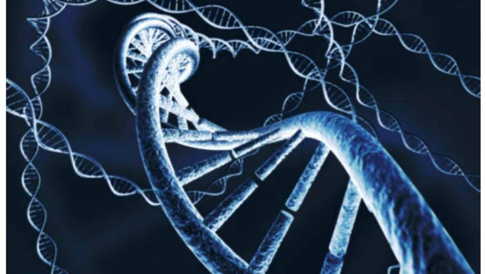 Polimeraza zəncir reaksiyası 1983 – Genetik materialın mətbəəsi