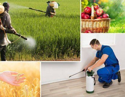 Pestisit nedir? Sağlığa zararlı mıdır, kanser riski oluşturur mu?