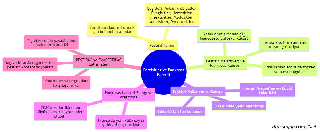 pestisitler ve pankreas kanseri konusunu gorsellestiren zihin haritasi diagrami 811649