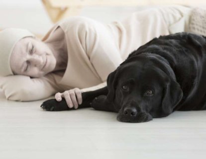Pet (evcil hayvan) terapisi nedir? Kimler için uygundur ve nasıl uygulanır?