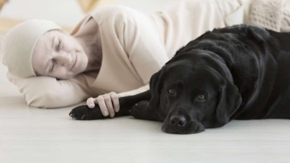 Pet (evcil hayvan) terapisi nedir? Kimler için uygundur ve nasıl uygulanır?