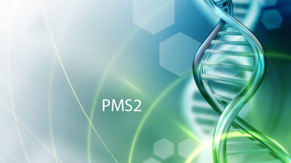 Что такое мутация PMS2? Риск какого рака она повышает?