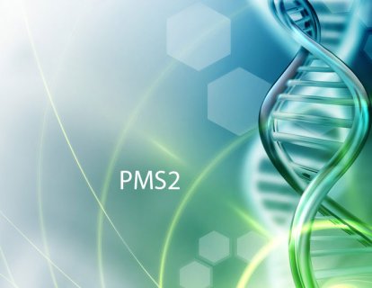 PMS2 mutasyonu nedir? Hangi kanserin riskini artırır?