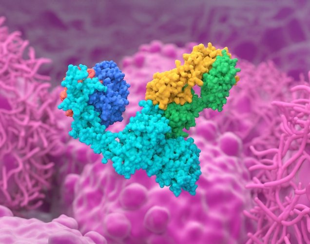 Poherdy (Pertuzumab-dpzb): HER2 Pozitif Meme Kanserinde İlk “Değiştirilebilir” Biyobenzer