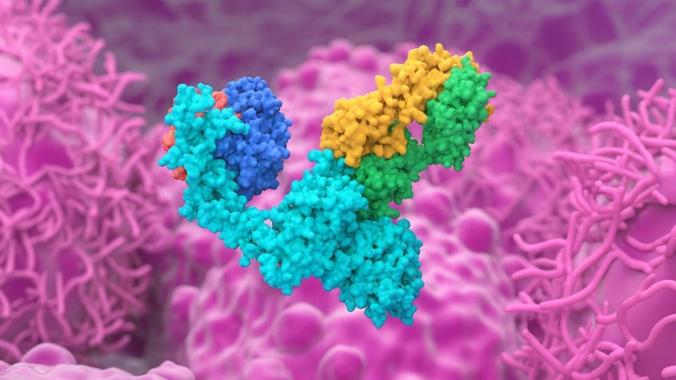 Poherdy (Pertuzumab-dpzb): HER2 Pozitif Meme Kanserinde İlk “Değiştirilebilir” Biyobenzer