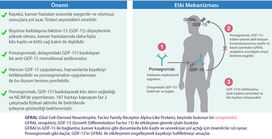 ponsegromab kaseksi ilaci etki mekanizmasi nasildir 856300