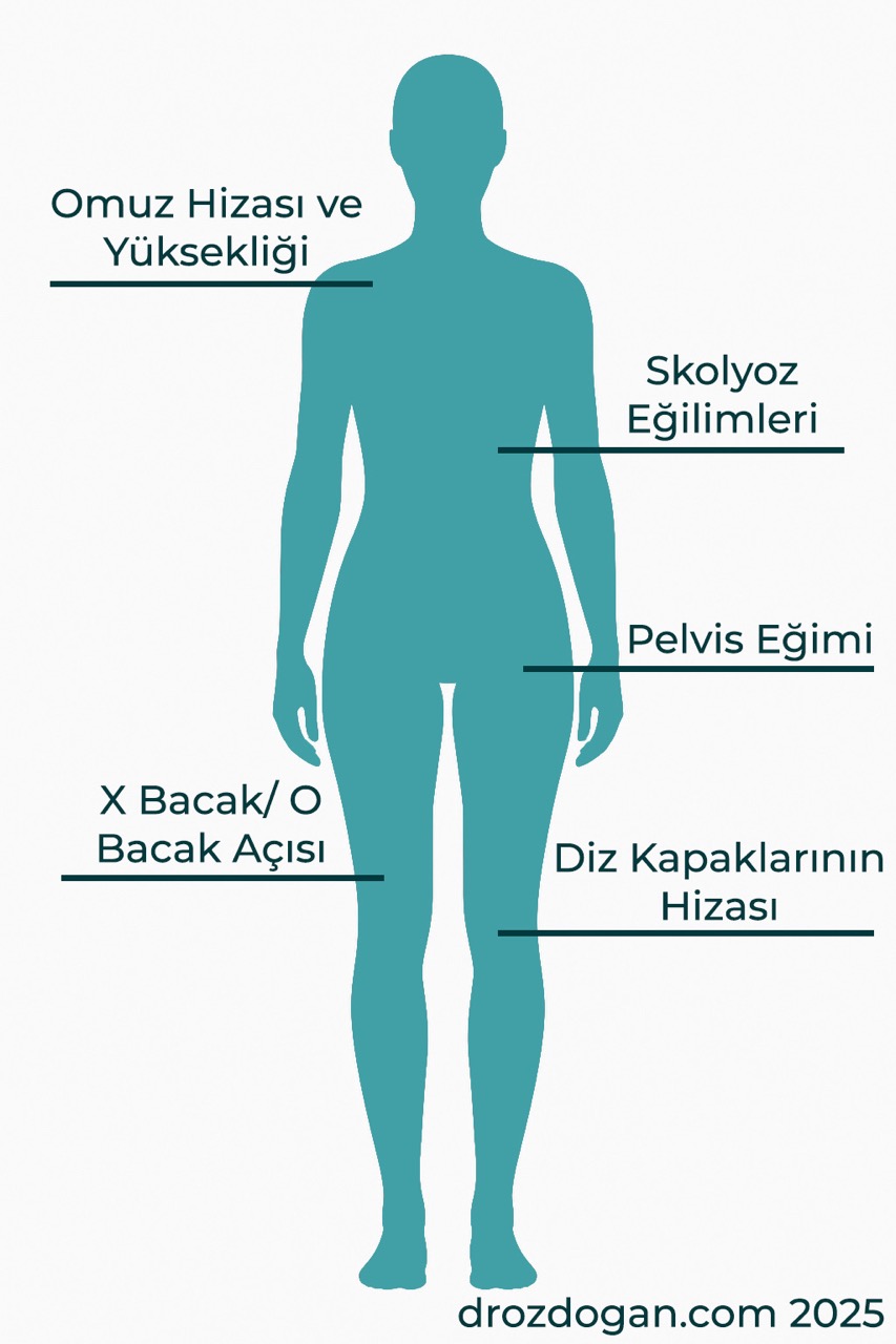Anovator posture analysis parameters