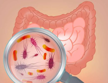 Probiyotik – sağlığa yararları, gerçekler ve güncel bilimsel araştırmalar