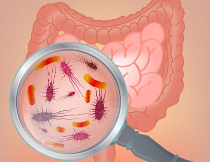 Probiyotikler zayıflamaya ve karın yağlarını eritmeye yardımcı mı?