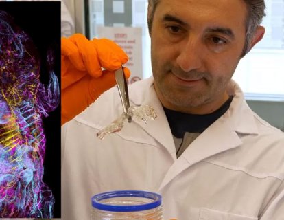 Prof. Ali Ertürk'ün Şeffaf Fare Tekniği, Kanser İlaç Testleri için Bir Devrim
