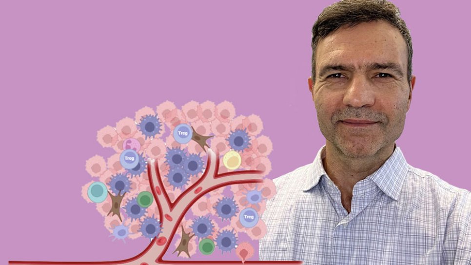 Die Entdeckung von Fahri Saatçioğlu und seinem Team, die Prostatakrebs empfindlicher für Immuntherapien macht