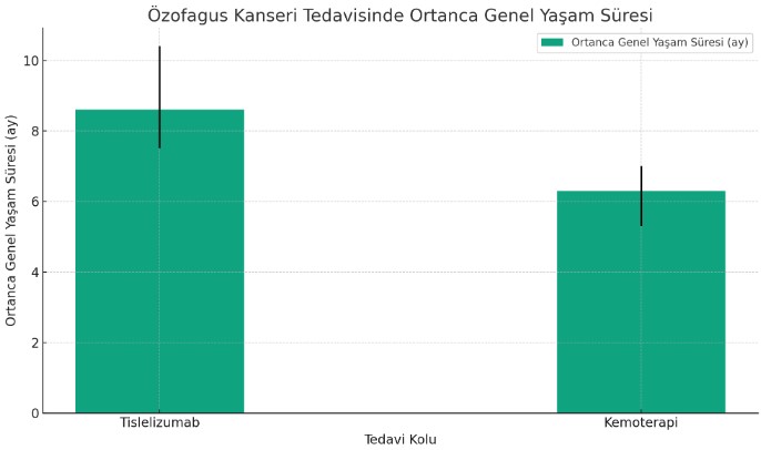 rationale 302 calismasi ile gelen fda onayi tislelizumab fda onayi ozofagus yassi hucreli 436874