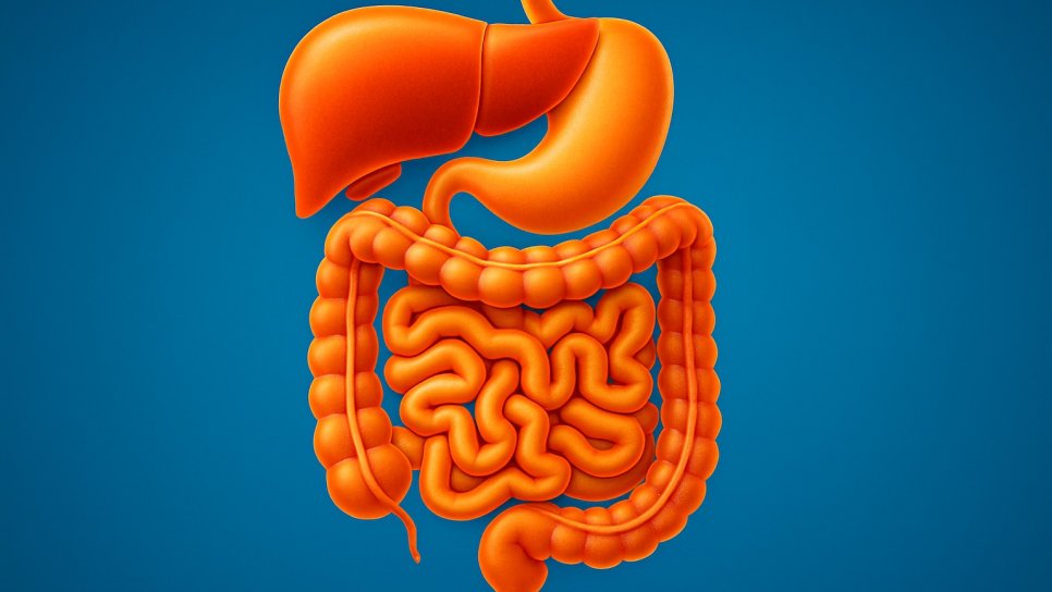 Ripretinib (Qinlock) Nedir? FDA Onayı, Türkiye Ruhsatı ve Geri Ödeme Durumu