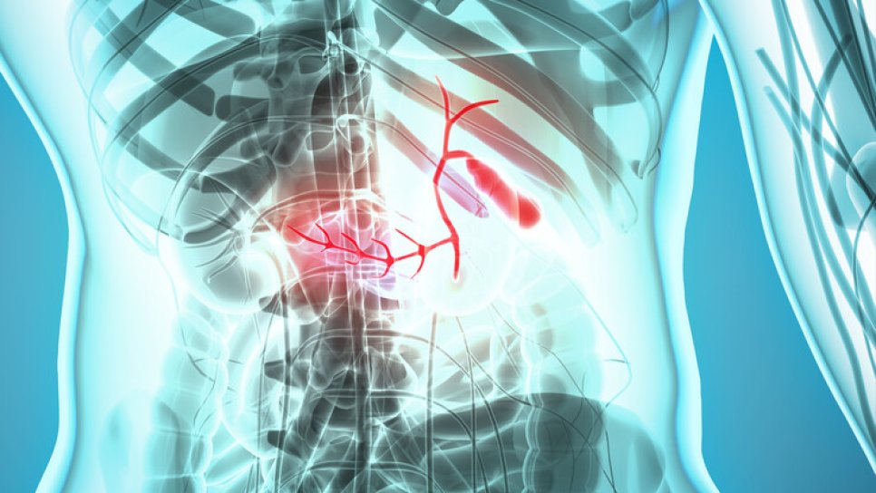 Safra kanalı kanseri için ilk hedefe yönelik akıllı ilaç FDA onayı aldı