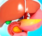 Safra Kanalı Tıkanıklığında Takılan Biliyer Stent ve PTK Dren Nedir?
