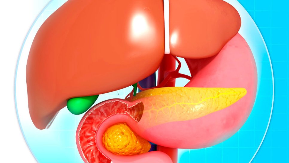 Safra Kanalı Tıkanıklığında Takılan Biliyer Stent ve PTK Dren Nedir?