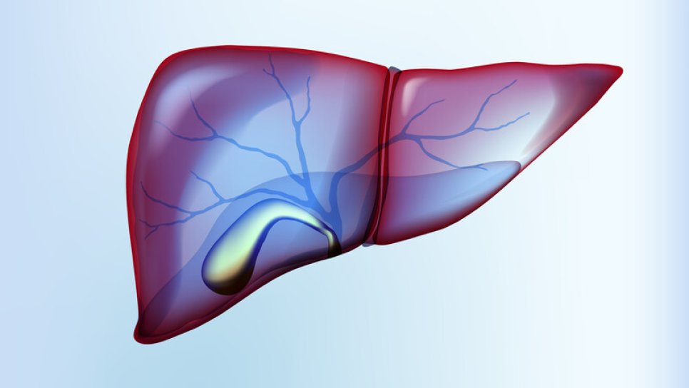Safra yolu kanserinde immünoterapi nivolumab ile yüksek hastalık kontrol oranları