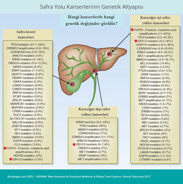 Genetik von Gallengangskrebs: IDH1 und FGFR1 2