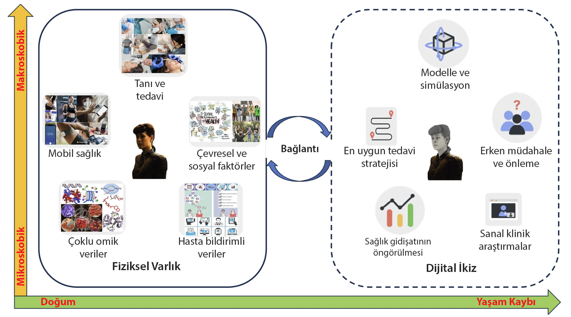 ce înseamnă conceptul de geamăn virtual digital pentru sănătate