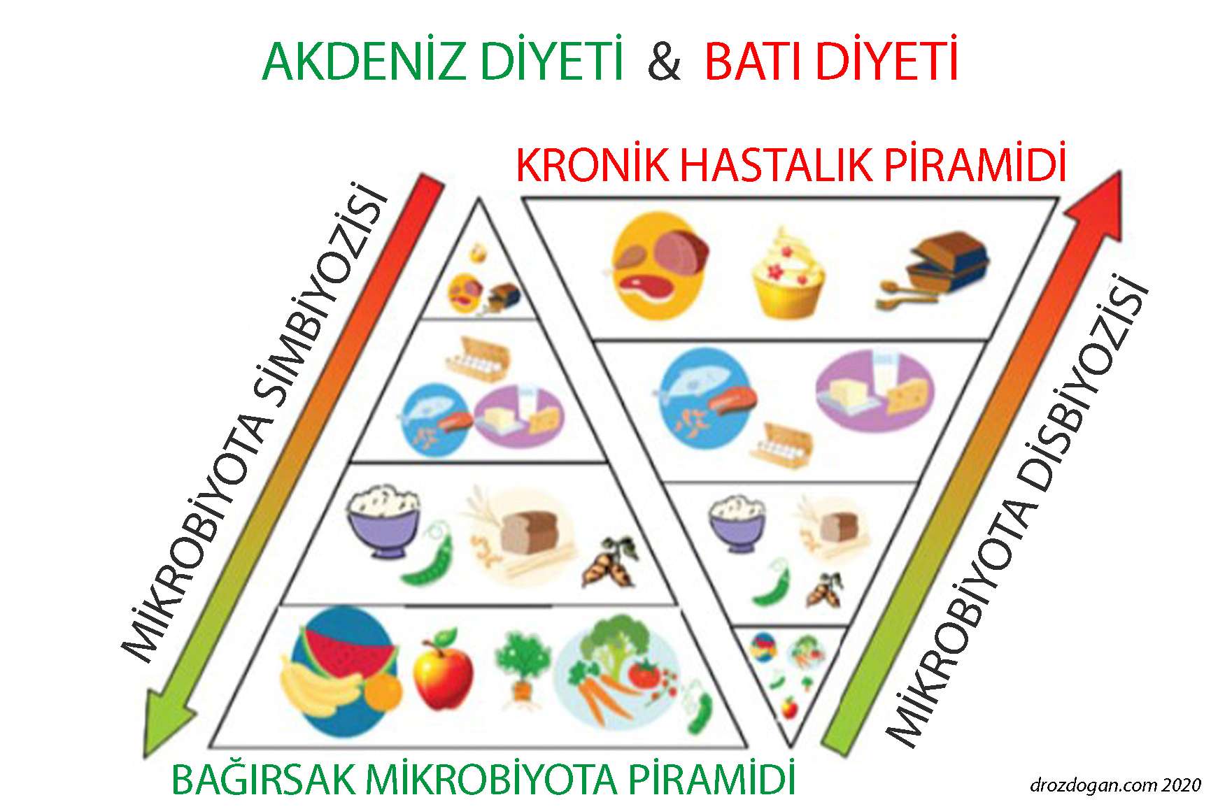 healthy microbiota Mediterranean diet Western diet