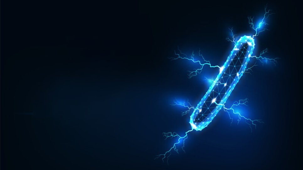 Sağlıklı mikrobiyotanın yararlı mikroorganizmalar kanser tedavisi üzerine etkileri nelerdir