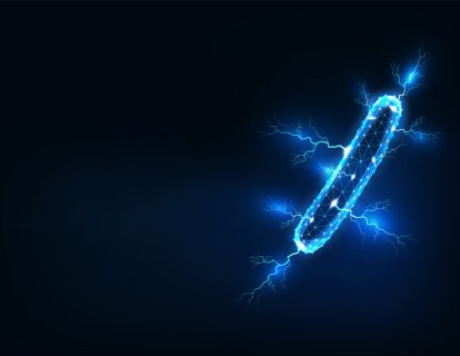 Sağlıklı mikrobiyotanın (yararlı mikroorganizmalar) kanser tedavisine etkileri nelerdir?