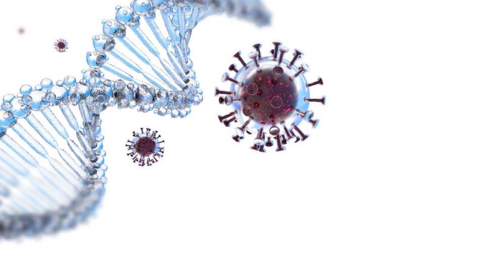 How Much Does Our GENETIC Makeup Influence Severe SARS-CoV-2 Infection (COVID-19)?