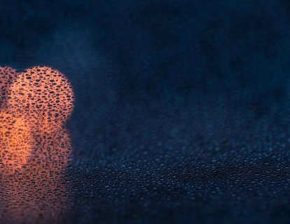 Sesil (sapsız) polip nedir? Bilmeniz gerekenler