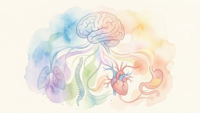 Sezgileriniz Gerçekten İç Organlarınızdan mı Geliyor? İnterosepsiyon Bilimi Ne Söylüyor?