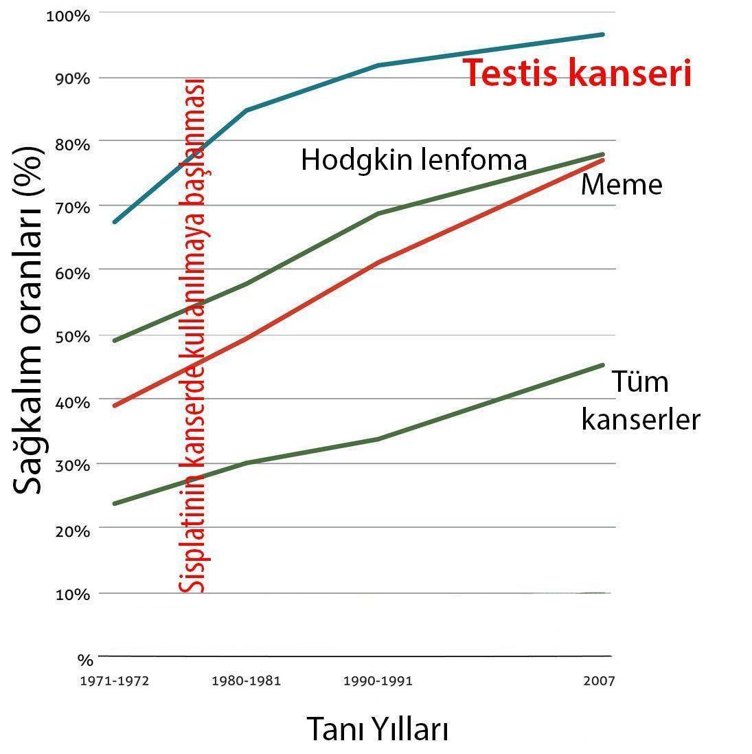 sisplatinin kesfinden sonra kanserde yasam sureleri belirgin sekilde artmistir testis kanseri 69988