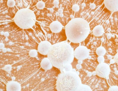 Solid-Organ Kanserlerinde İlk Canlı İlaç CAR-T Çalışmaları Umut Vadediyor