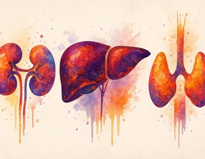 Sorafenib (Nexavar) Nedir? FDA Onayı, Türkiye Ruhsatı ve Geri Ödeme Durumu 