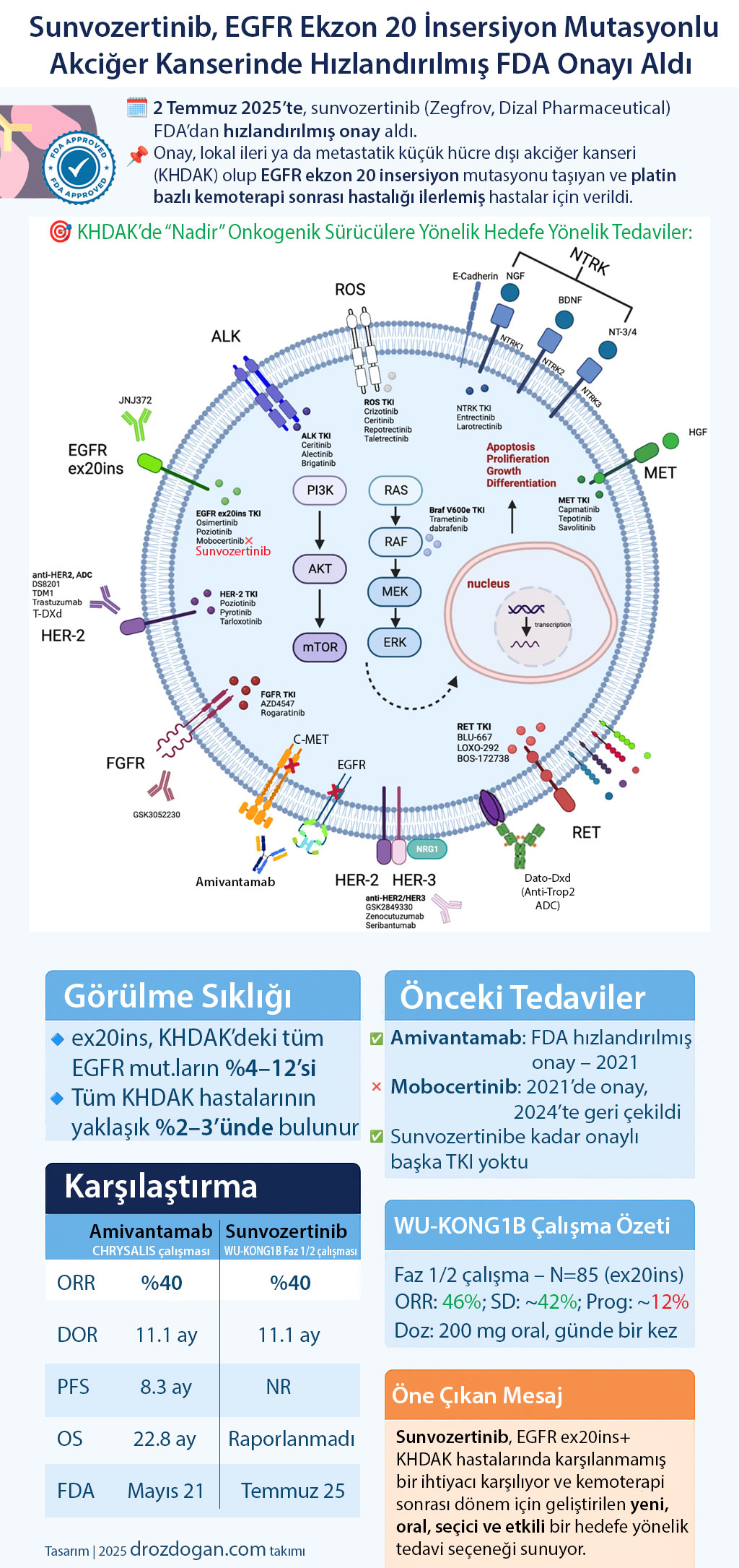 sunvozertinib egfr ekzon 20 insersiyon mutasyonlu akciger kanserinde fda hizlandirilmis onayini ald