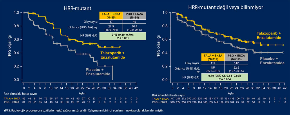 TALAPRO 2 results, ASCO 2023: talazoparib plus enzalutamide for metastatic castration-resistant prostate cancer