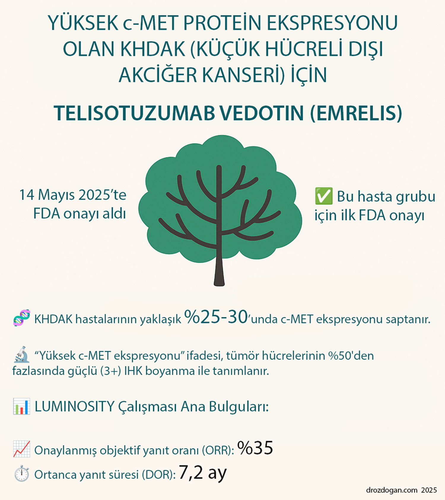 telisotuzumab vedotin yuksek c met protein ekspresyonu olan khdak kucuk hucreli disi akciger kanser
