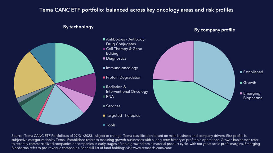 Tema CANC ETF: ausgewogene Portfolioverteilung nach onkologischen Technologien und Unternehmensprofilen