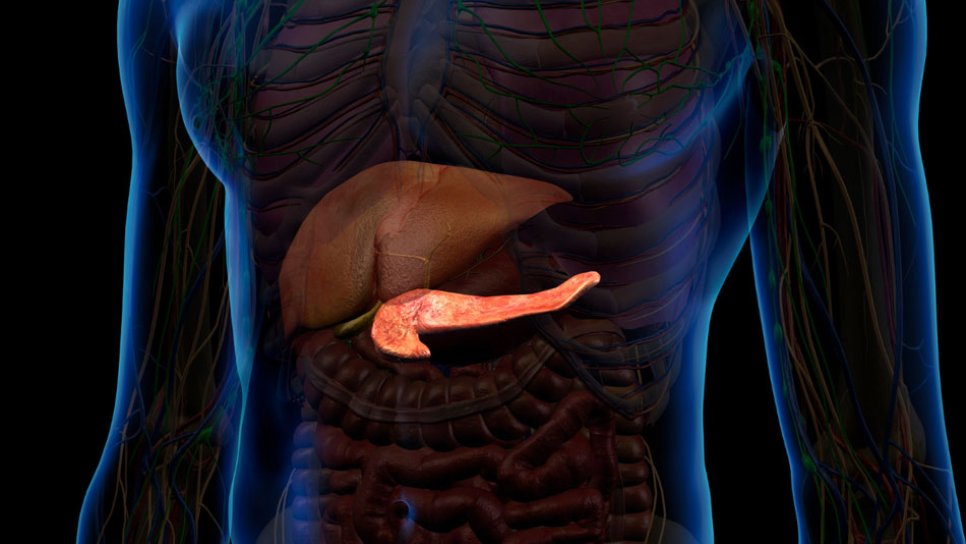 Erste FDA-Zulassung einer Zelltherapie bei Typ-1-Diabetes: Lantidra