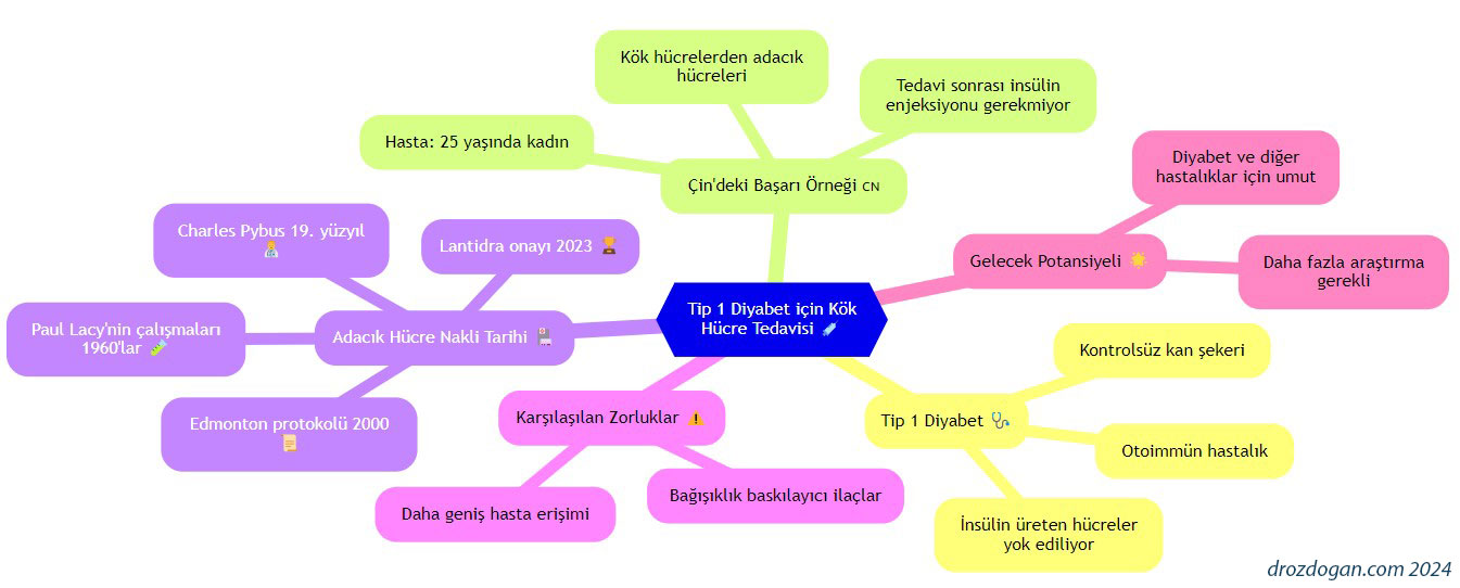 tip 1 diyabet icin kok adacik islet hucre nakli cin calismasi 579190