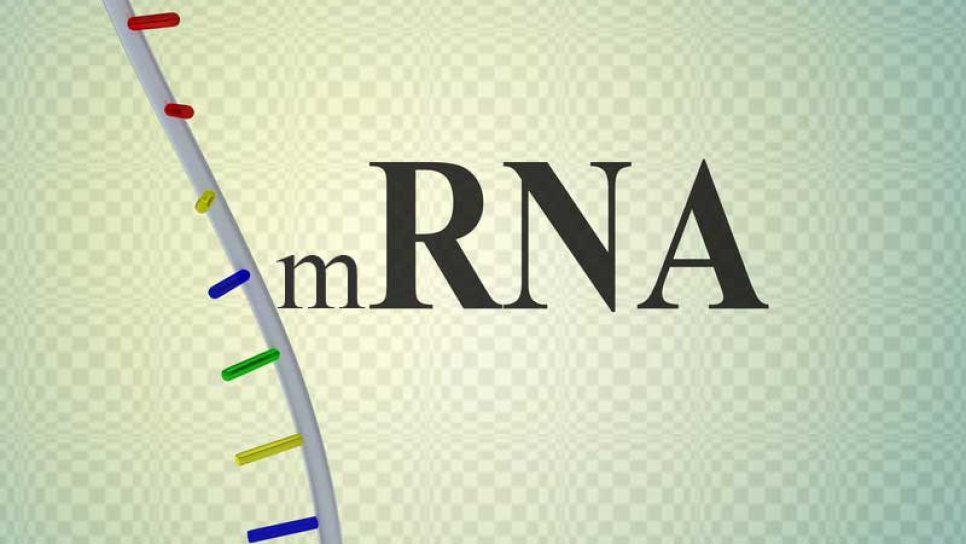 Tıpta yeni bir devir başlıyor: mRNA aşıları!