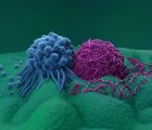 Tislelizumab (Tevimbra) Nedir? FDA Onayı, Türkiye Ruhsatı ve Geri Ödeme Durumu
