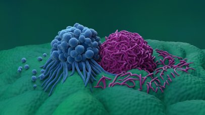 Tislelizumab (Tevimbra) Nedir? FDA Onayı, Türkiye Ruhsatı ve Geri Ödeme Durumu