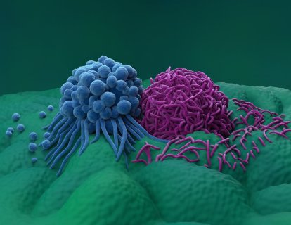 Tislelizumab (Tevimbra) Nedir? FDA Onayı, Türkiye Ruhsatı ve Geri Ödeme Durumu