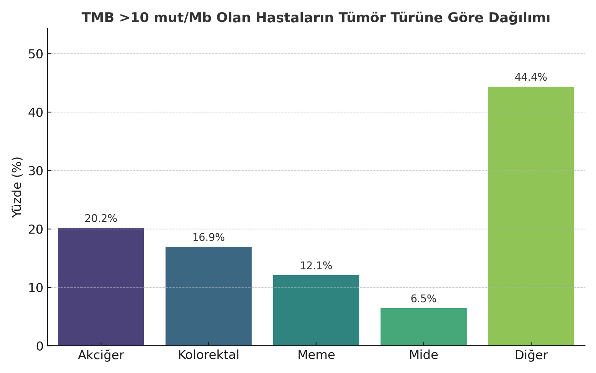 TMB Distribution by Tumor Type