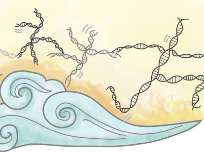 Zıplayan genlerin öyküsü ve kanserde önemi