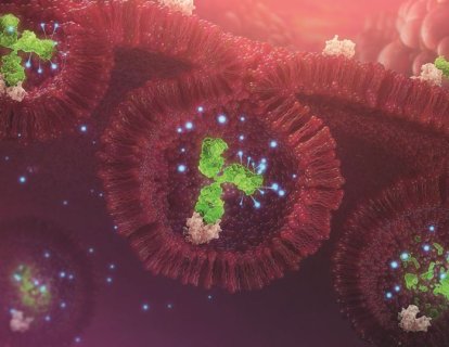 Trastuzumab Derukstekan (Enhertu) Nedir? FDA Onayı, Türkiye Ruhsatı ve Geri Ödeme Durumu