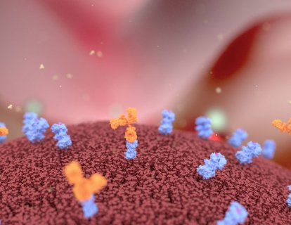 Trodelvy (sacituzumab govitecan-hziy) FDA Onayı, Türkiye Ruhsatı ve Geri Ödeme Durumu