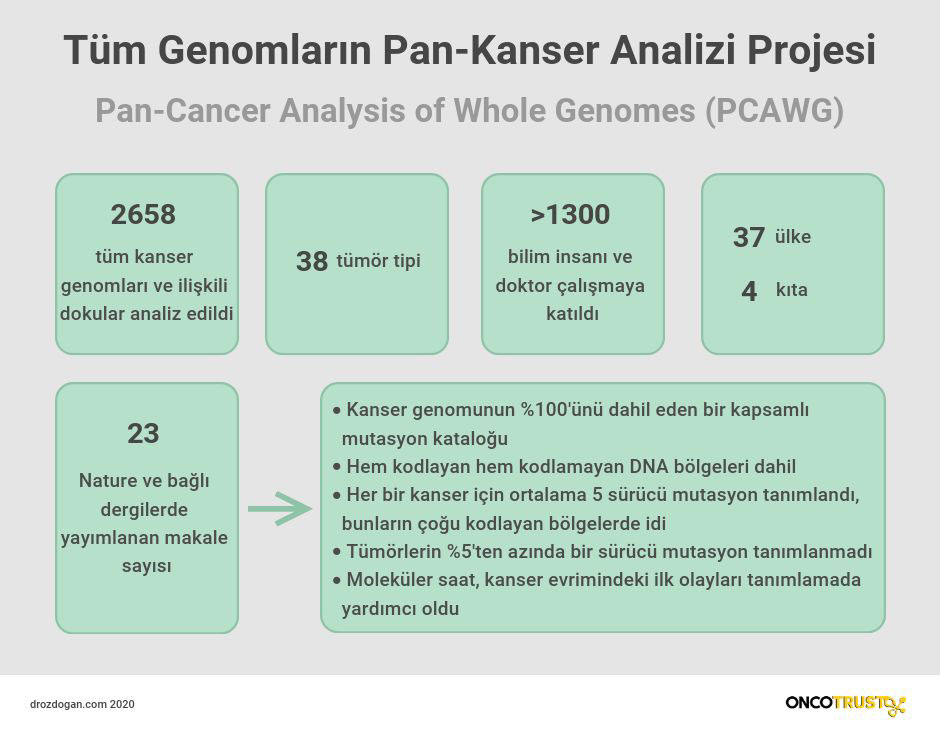 Projekt zur Pan-Krebs-Analyse vollständiger Genome