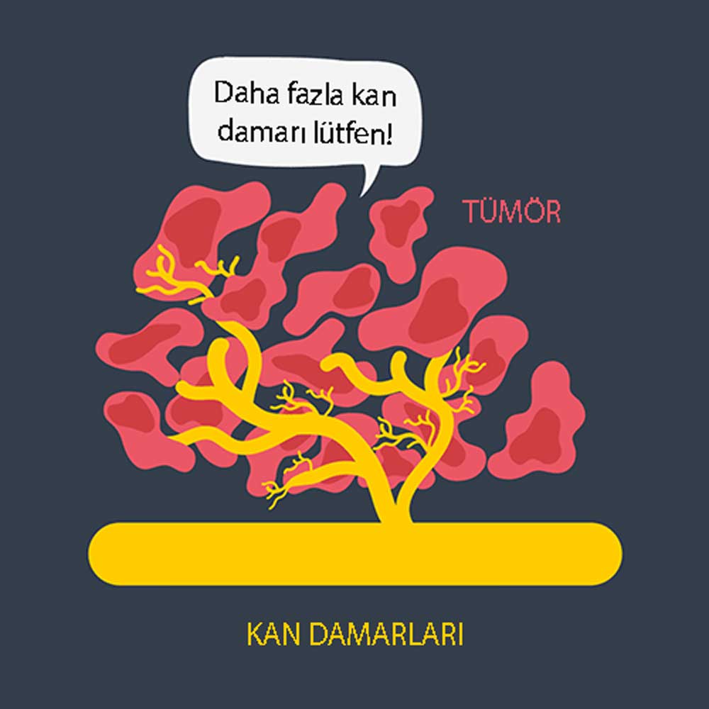 Şişlər normal toxumadan daha çox qan damarı cəlb edir damarlar qida gətirdikcə şişlərin daha da böyüməsinə imkan yaranır