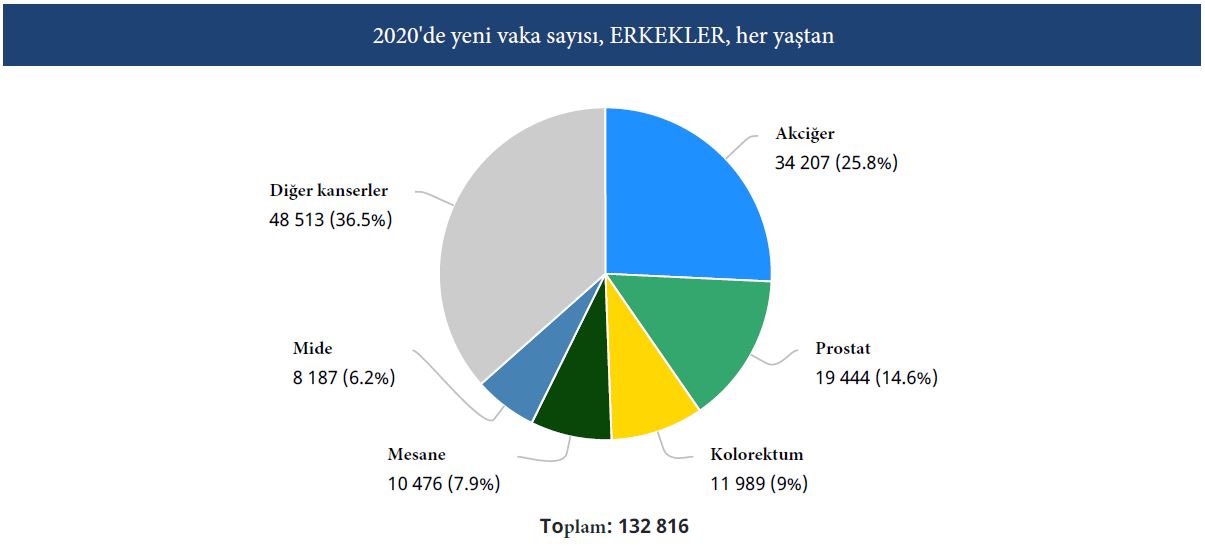 Statistik Türkei 2020 die 5 häufigsten Krebsarten bei Männern