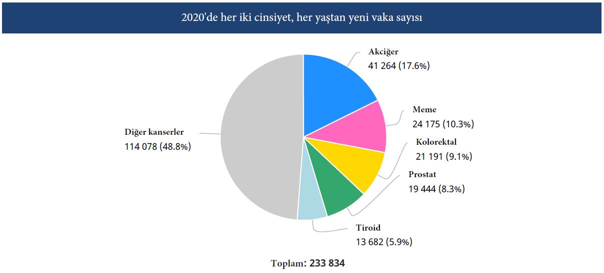 Die 5 häufigsten Krebsarten in der Türkei 2020